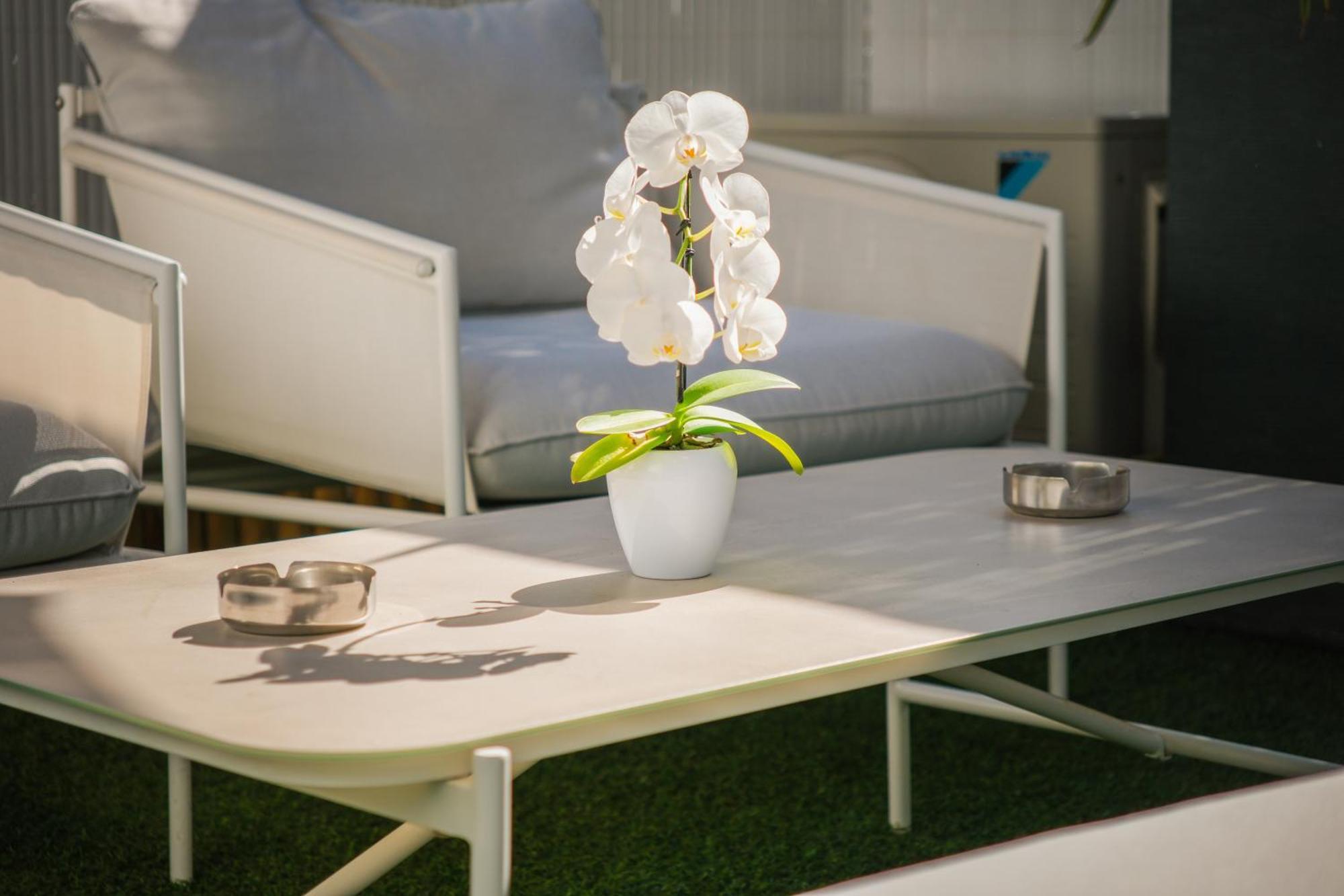 Villa Bono Jacuzzi & Spa แซ็งต์-โลร็อง-ดู-วาร์ ภายนอก รูปภาพ